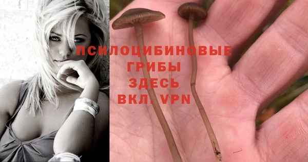 дмт Абинск