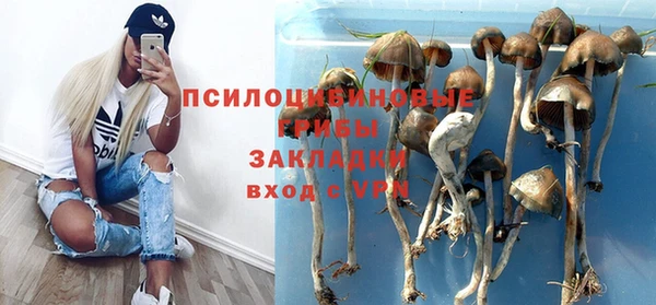 apvp Алзамай