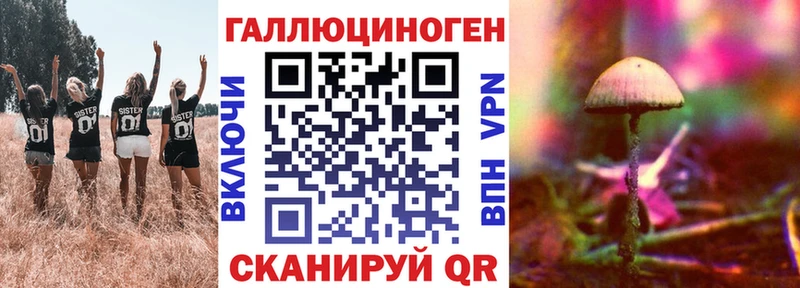 Галлюциногенные грибы Cubensis  где продают наркотики  Отрадная 