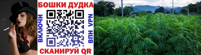 наркошоп  Отрадная  Канабис ГИДРОПОН 